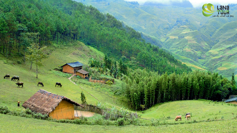 Lai Chau